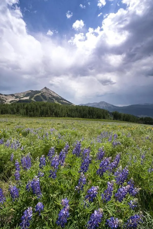 Updated 1 Bedroom In Mountaineer Square Crested Butte