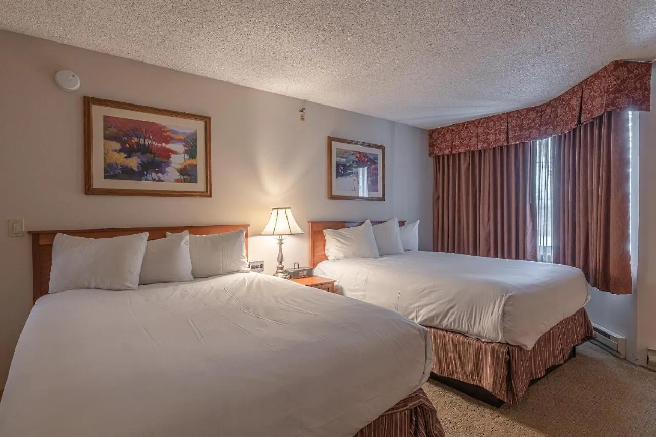Apartment Grand 1-bedroom With 3 Queens & Close To Everything Crested Butte