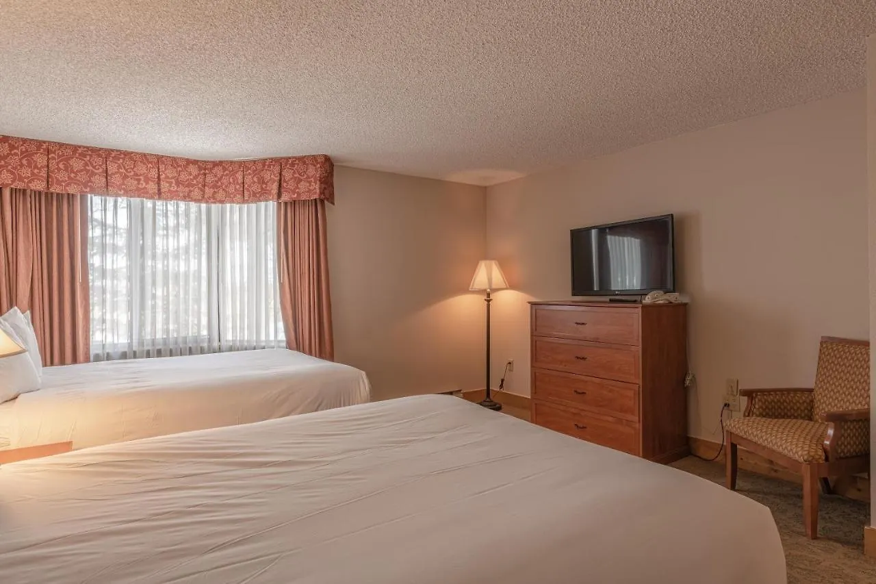 Grand 1-bedroom With 3 Queens & Close To Everything Apartment *