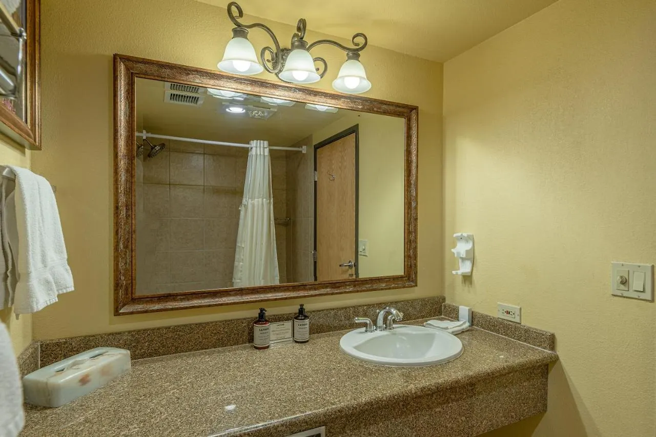 Grand 1-bedroom With 3 Queens & Close To Everything Apartment *