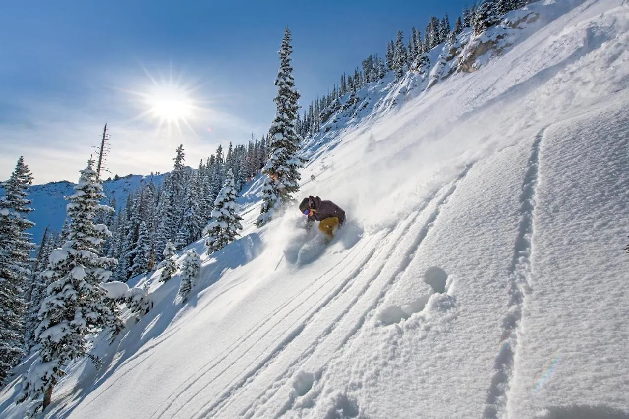 Grand In The Heart Of Mt Crested Butte