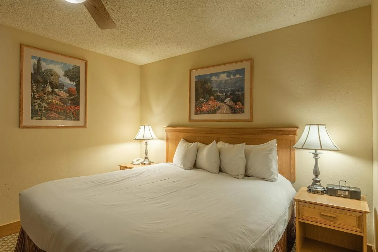 Grand In The Heart Of Mt Apartment