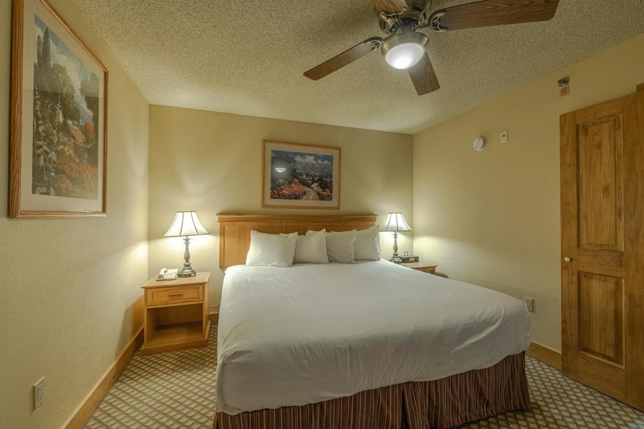 Grand In The Heart Of Mt Apartment Crested Butte