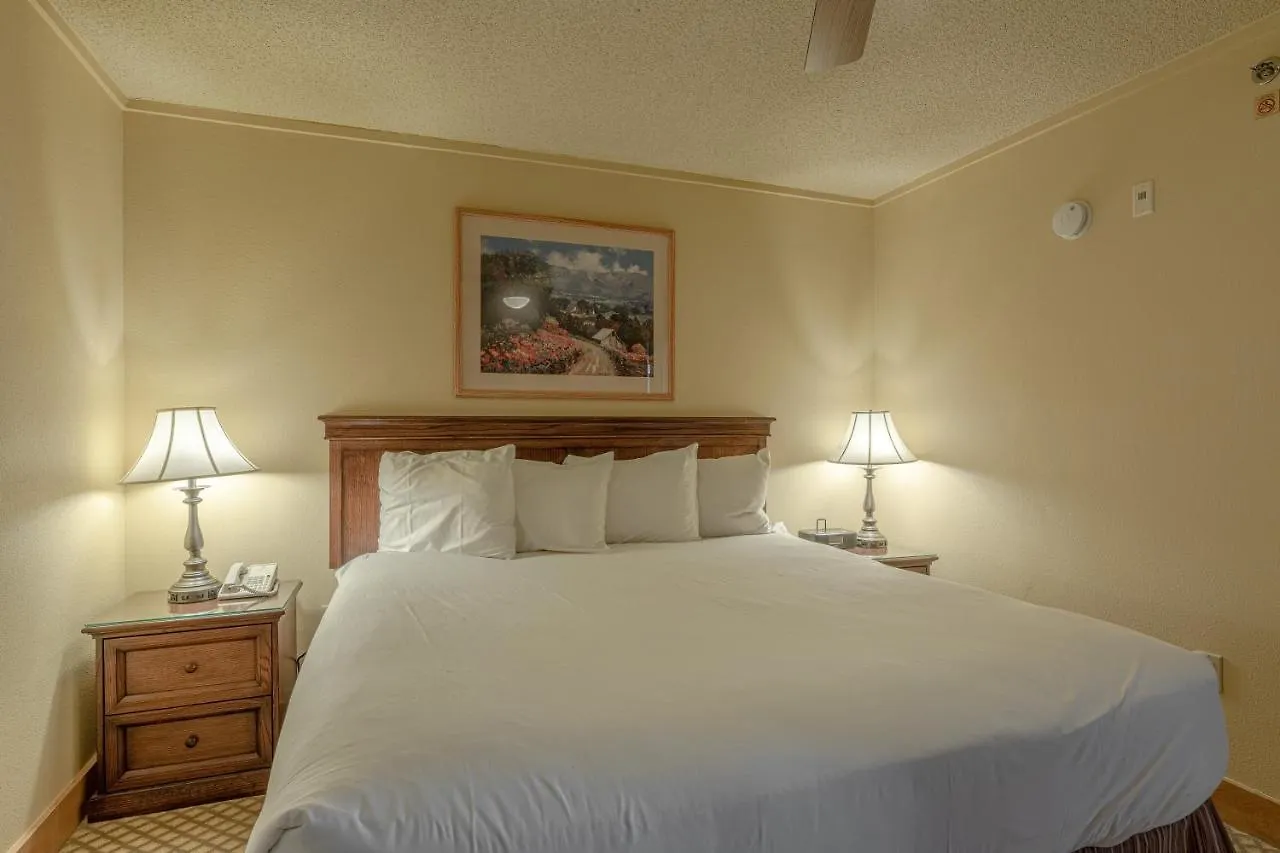Apartment Grand In The Heart Of Mt Cb