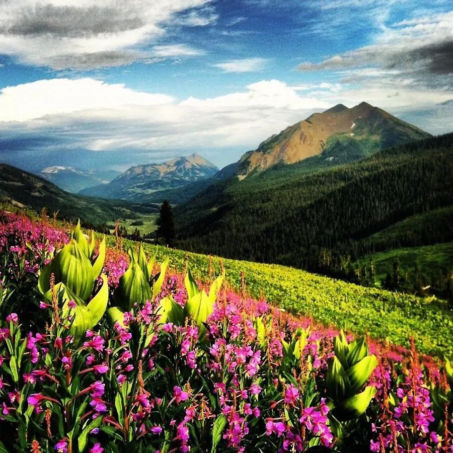 Earhart Lane Crested Butte