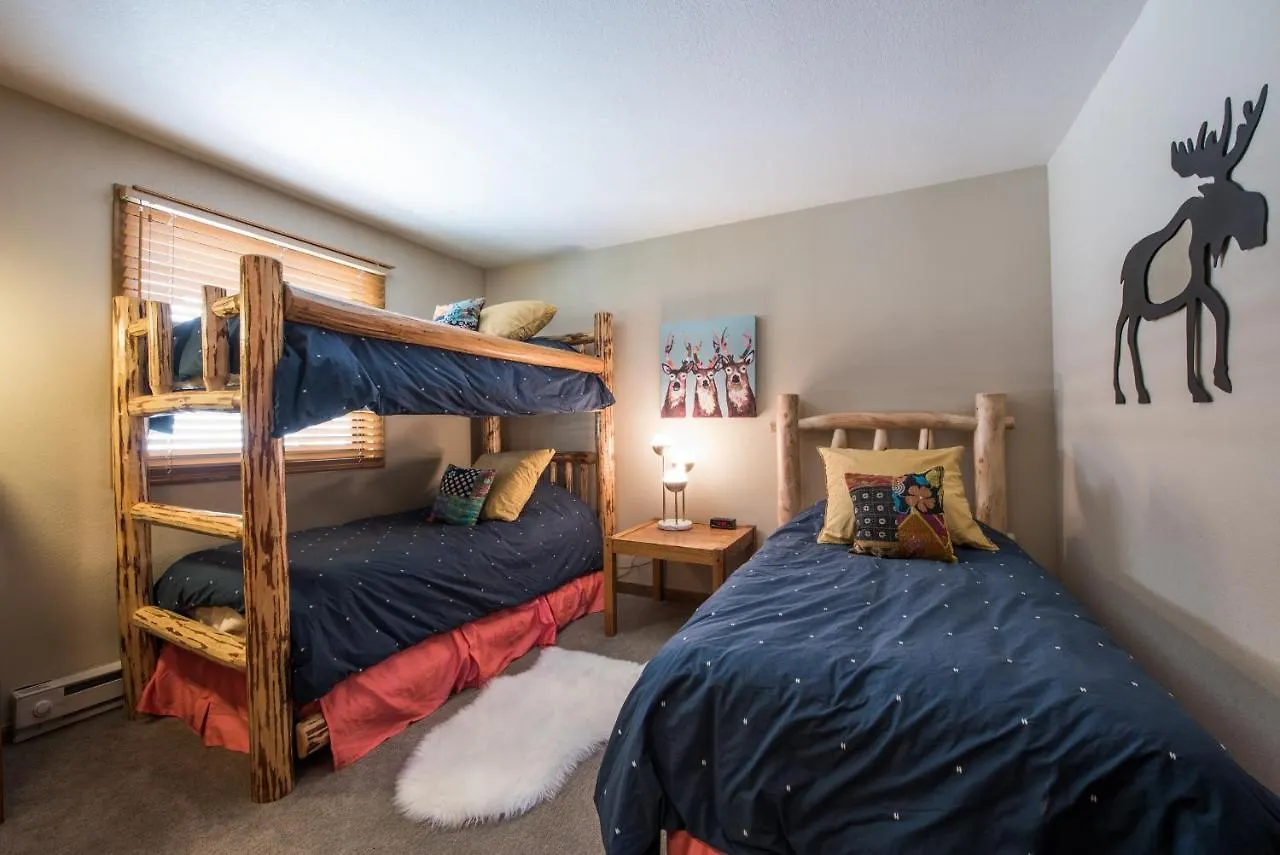 Lovely Modern Plaza * Crested Butte