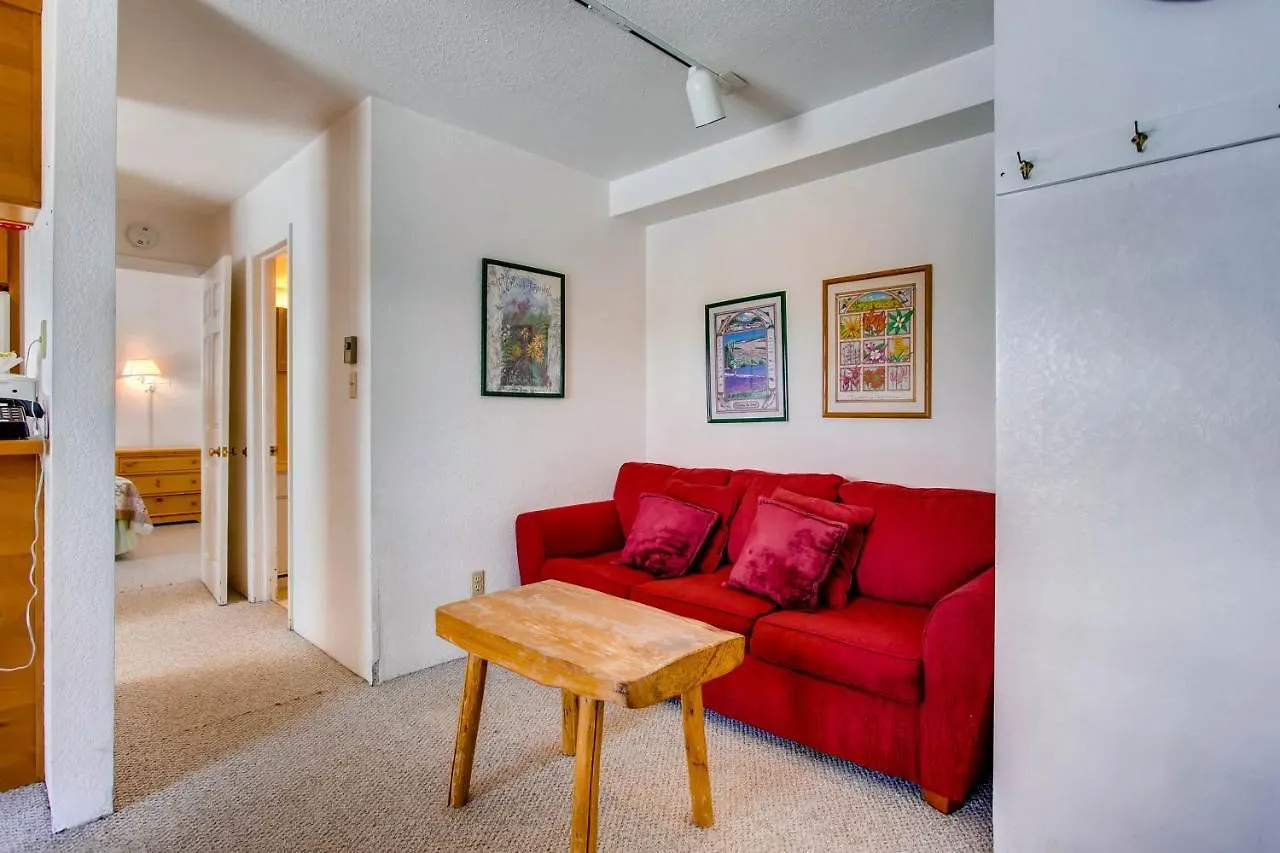 View Of Mt Crested Butte- 1 Bedroom Apartment