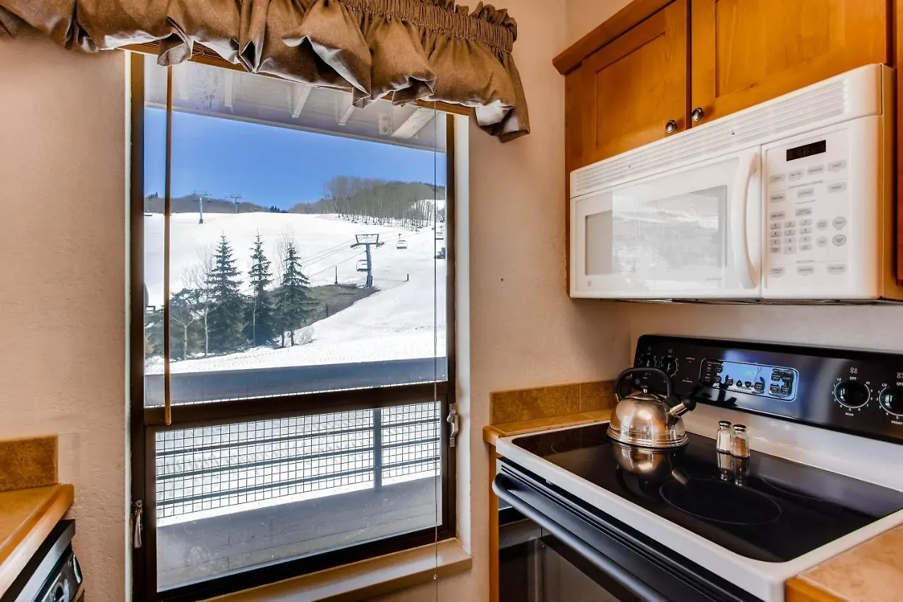 Apartment View Of Mt Crested Butte- 1 Bedroom
