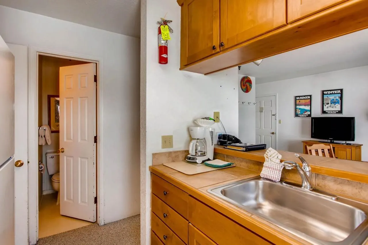 View Of Mt Crested Butte- 1 Bedroom * Crested Butte
