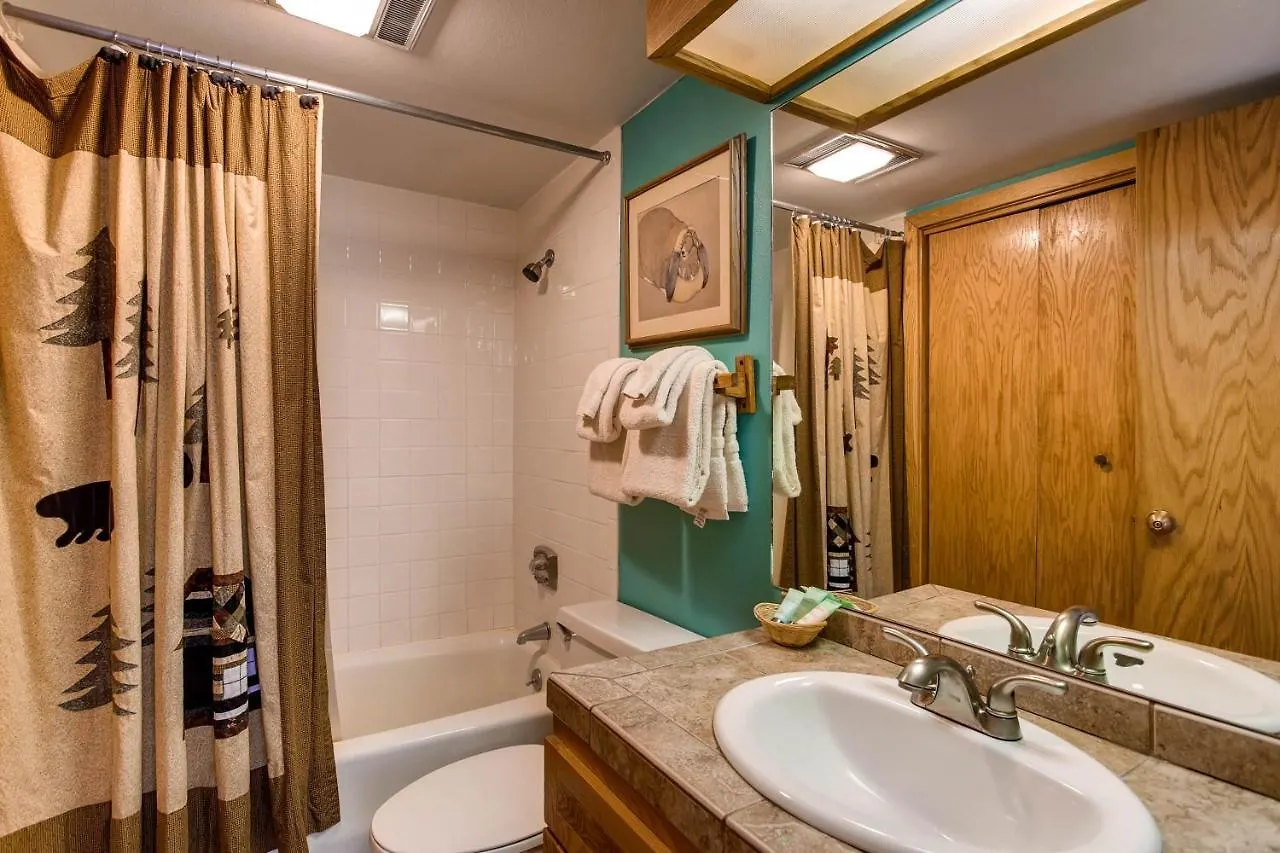 Apartment Updated 1 Bedroom - Ski-in Ski-out Access Crested Butte