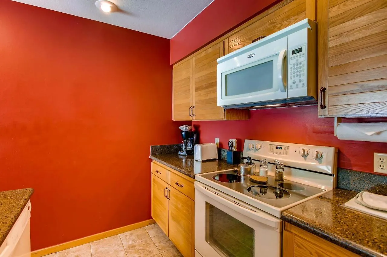 Updated 1 Bedroom - Ski-in Ski-out Access * Crested Butte
