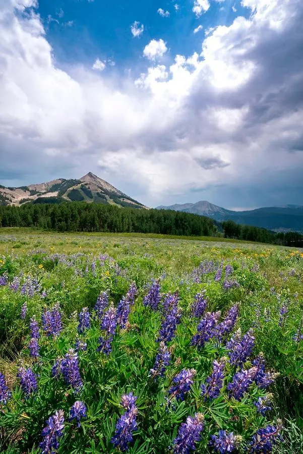 Mountain Views From Plaza - Sleeps 6 Crested Butte