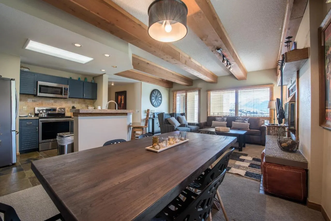 Lovely Modern Plaza * Crested Butte