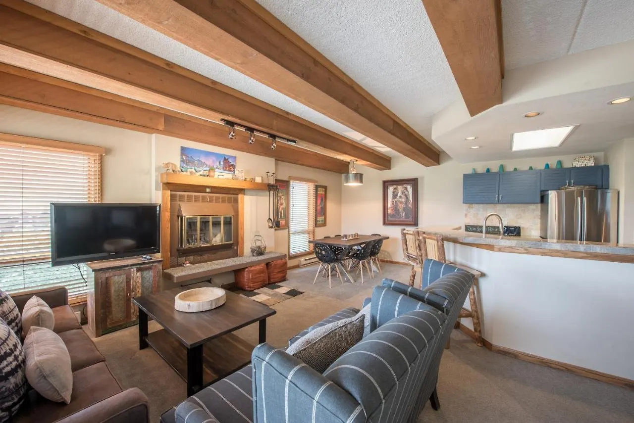 Apartment Lovely Modern Plaza Crested Butte