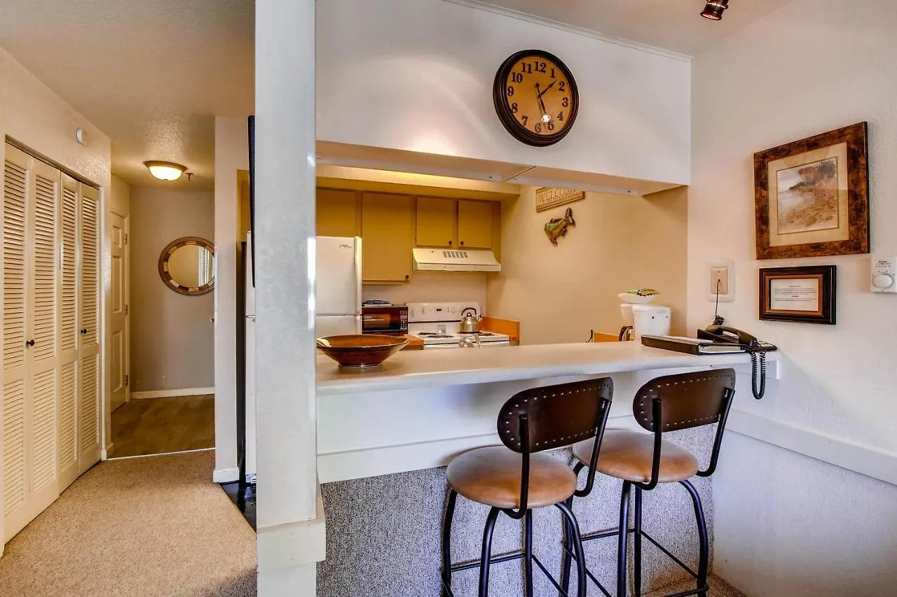 Apartment 1 Bedroom Andloft With Deck - Sleeps 5 People Crested Butte
