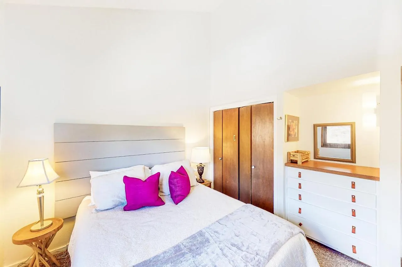 Ski-riffic Apartment Crested Butte