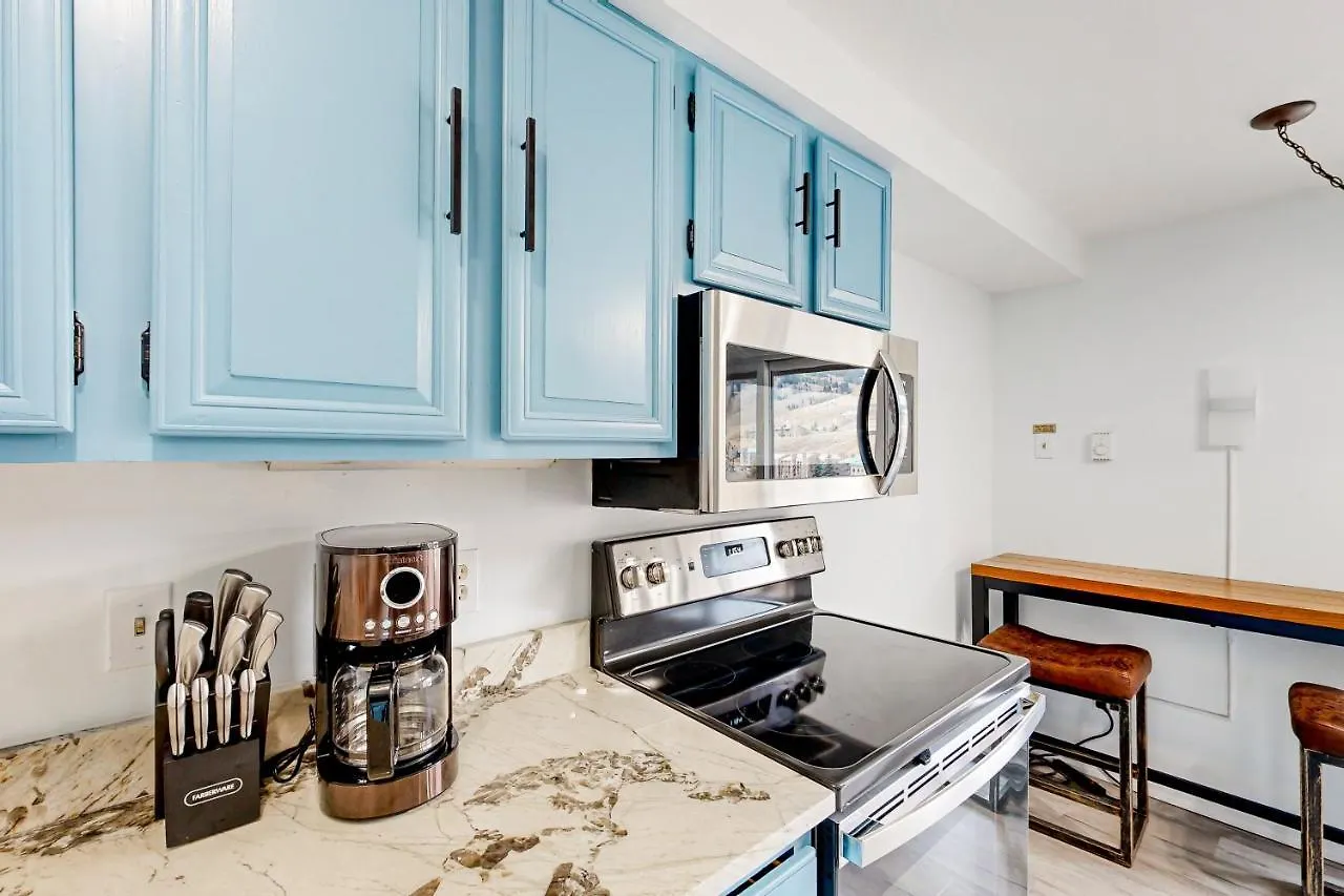Apartment Mountain Delight Crested Butte