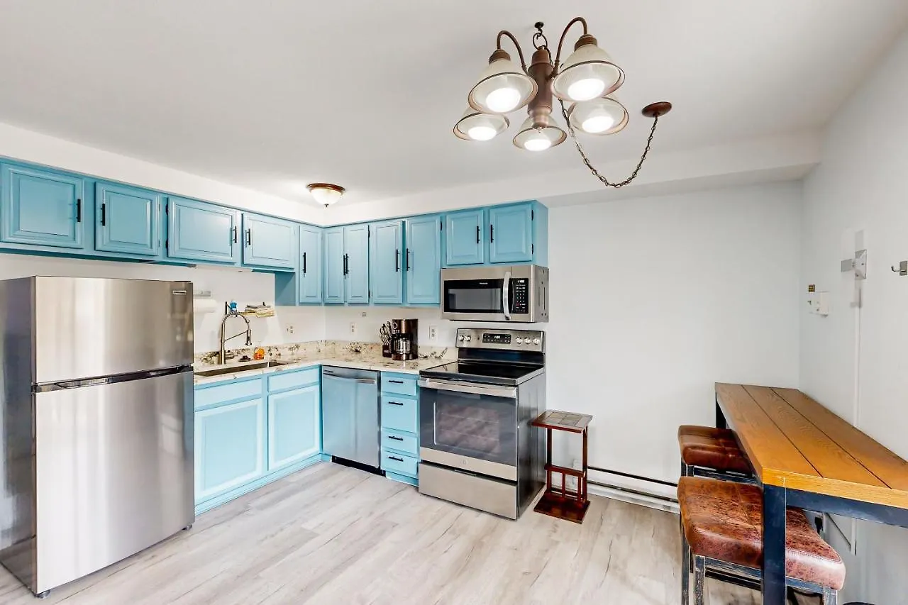 Apartment Mountain Delight Crested Butte