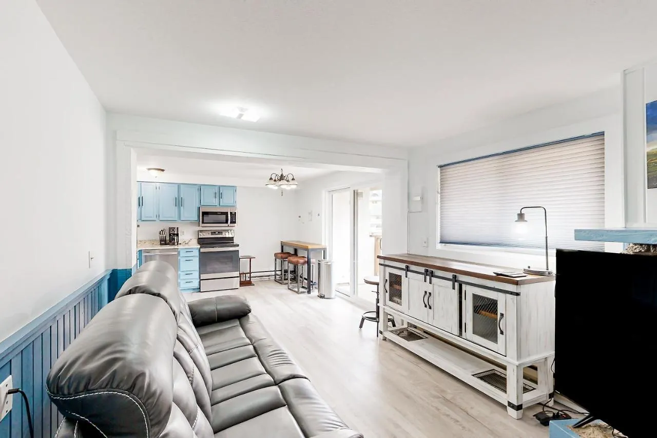 Mountain Delight Apartment Crested Butte