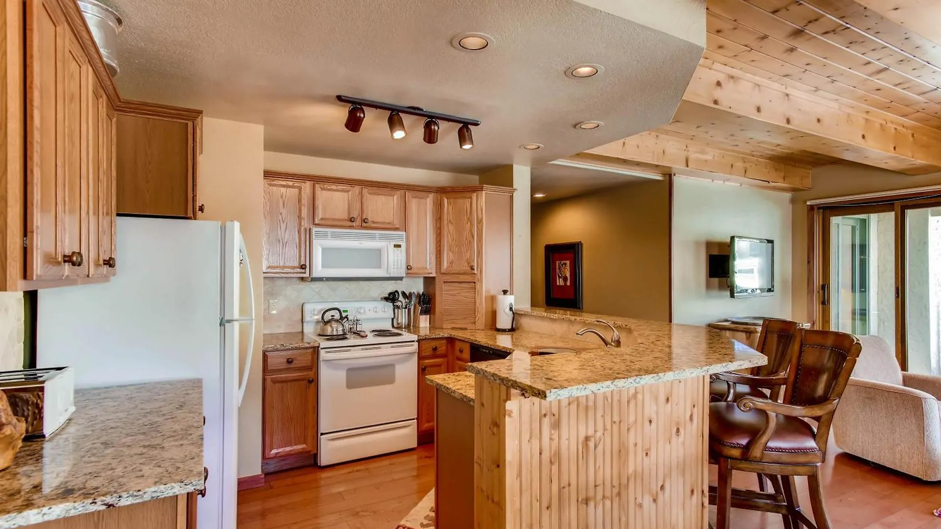 Recently Remodeled 2 Bedroom Crested Butte