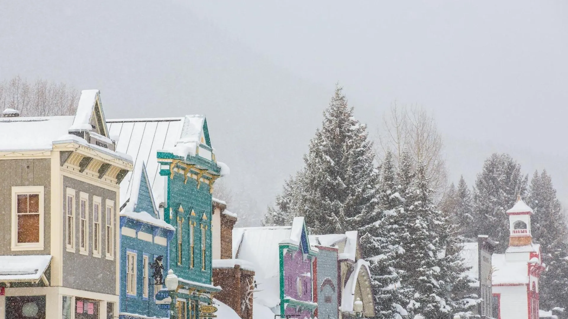 Apartment 2 Bedroom With Open Floor Plan & Updated Kitchen Crested Butte