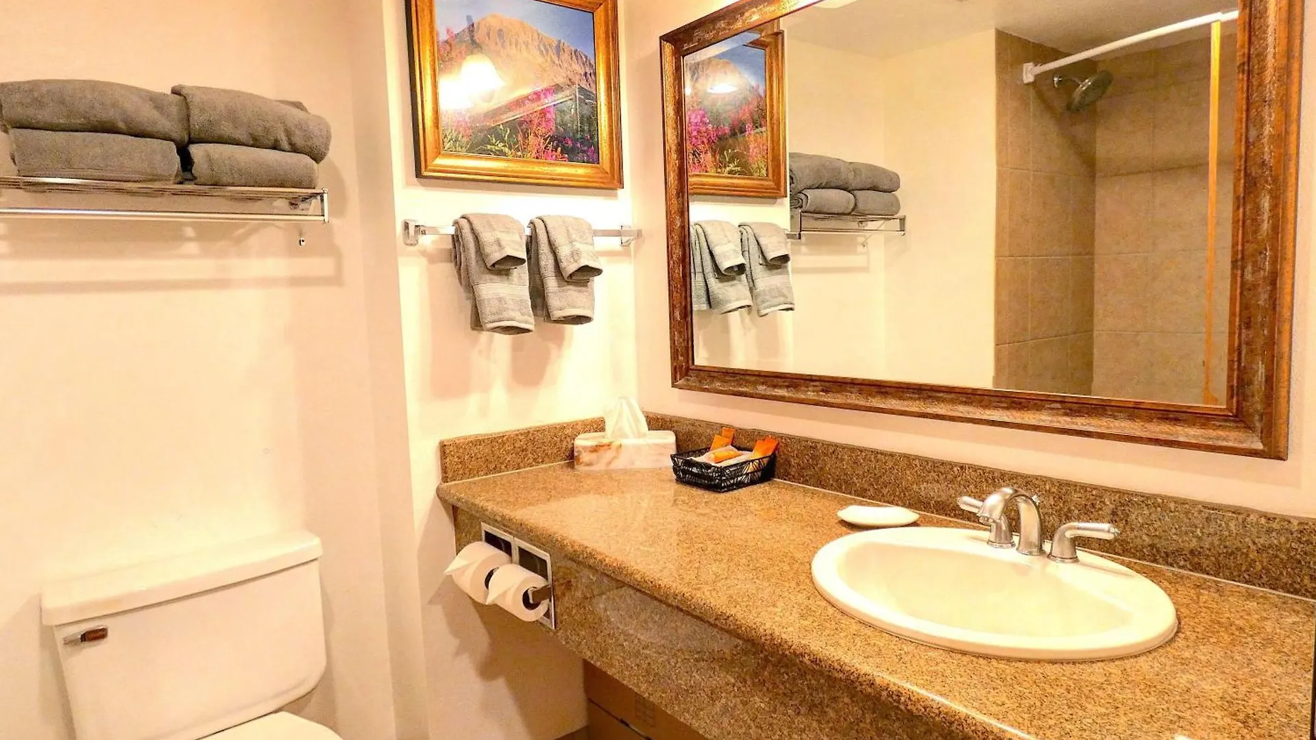 Apartment New Listing Pets Ok Base Free Wifi Hot Tub Crested Butte