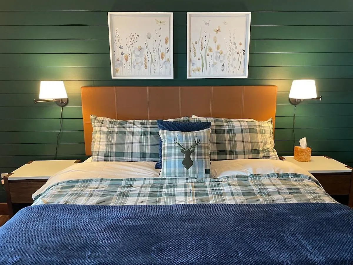 Newly Renovated In Out 2br * Crested Butte