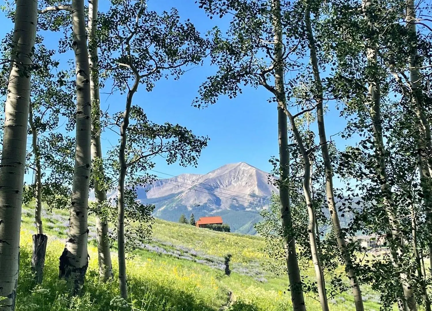 Apartment Located High Up On Mountain At Westside Trailhead