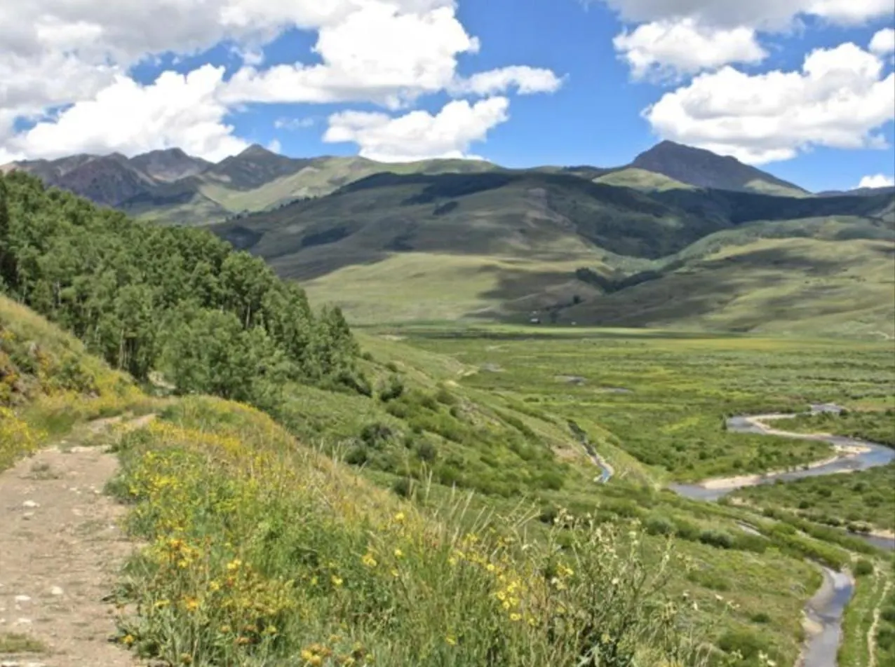 Walk To Mountain Base For 4 & Pool Crested Butte