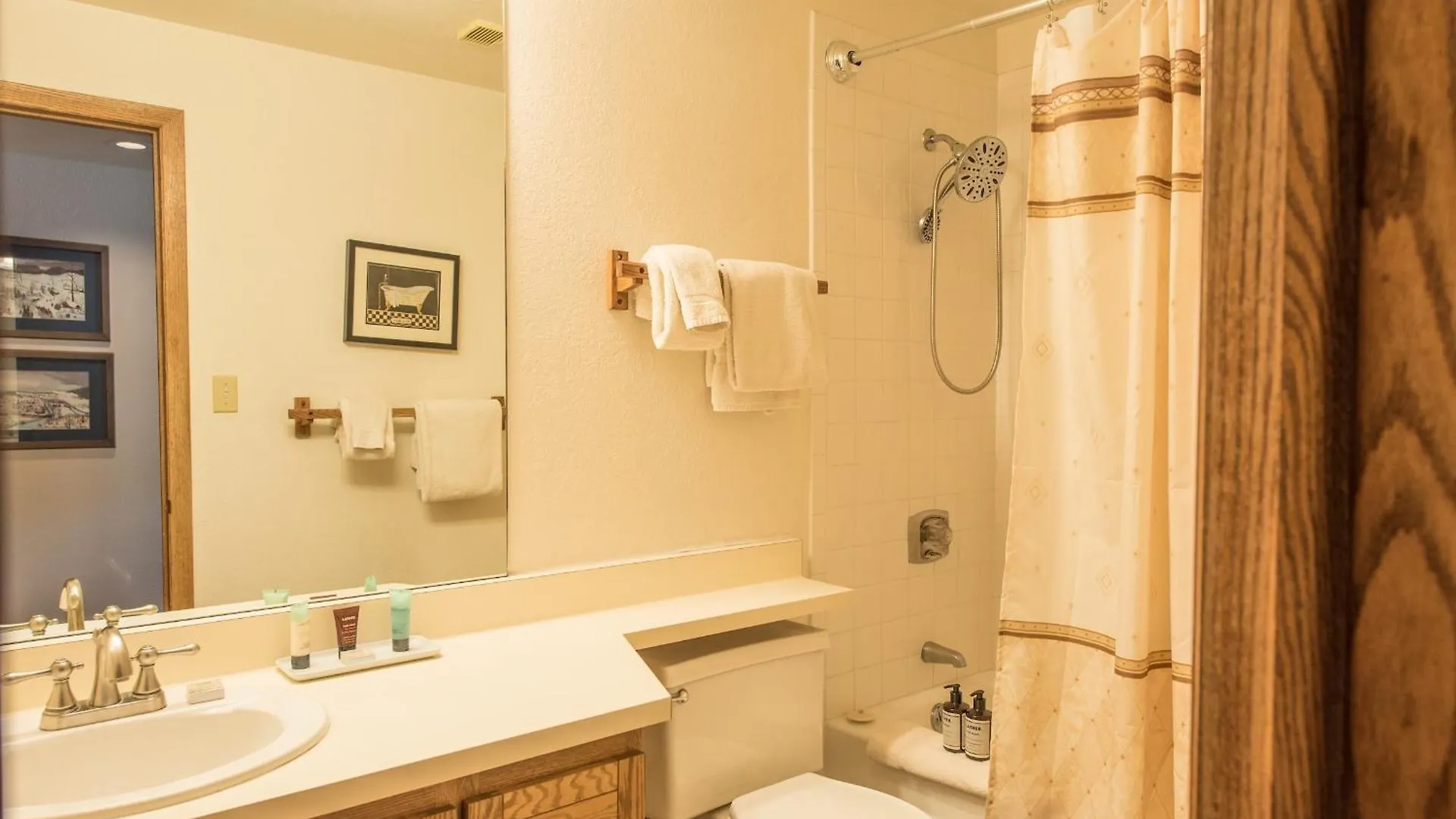Rustic-contemporary 3br With Great Views Apartment Crested Butte