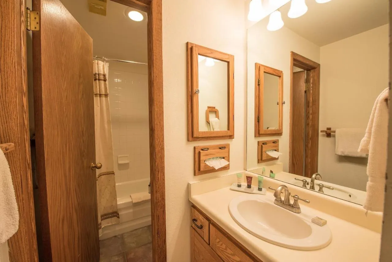 Rustic-contemporary 3br With Great Views * Crested Butte