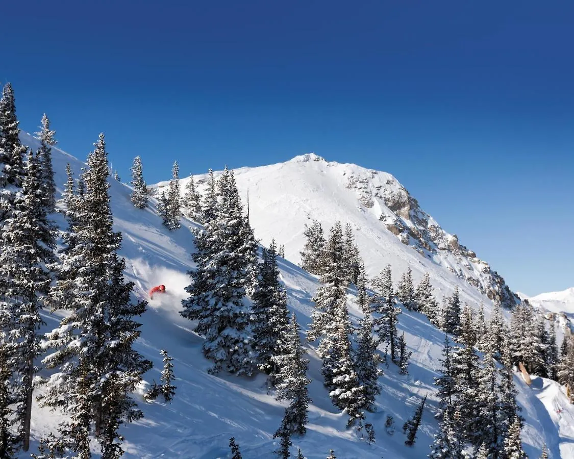 Comfortable 1 Bedroom - Slopeside Apartment