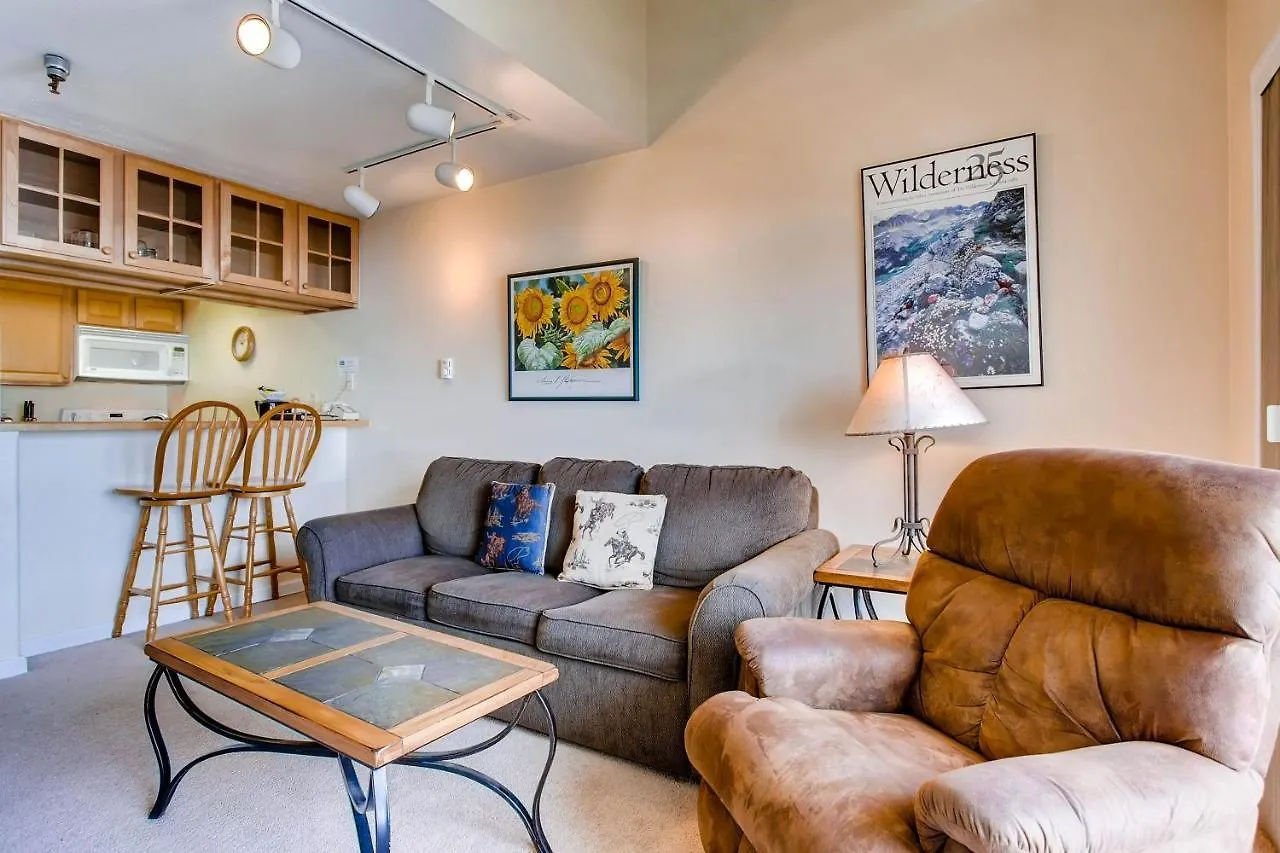 Axtel 1 Bedroom Loft Ax410 Apartment Crested Butte