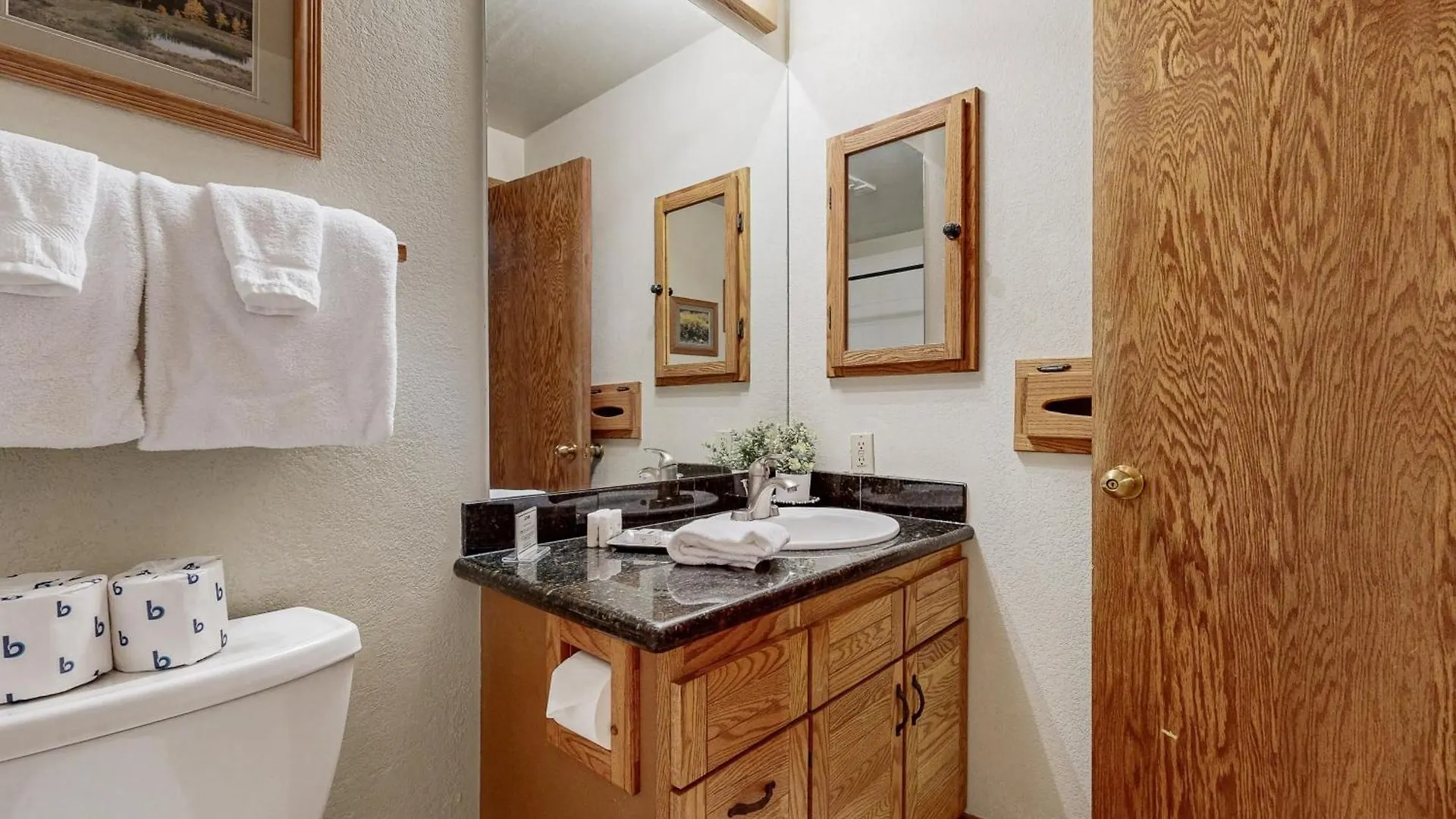 Apartment Elevated Escape Crested Butte